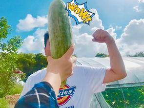 857爆料吃瓜网红,吃瓜爆料背后的真相与争议